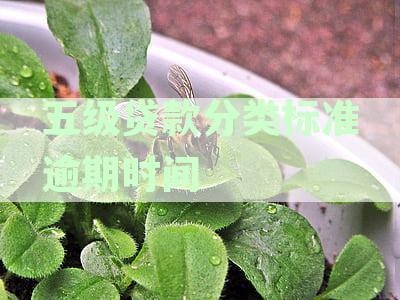 新五级贷款分类标准下的逾期时间及影响分析