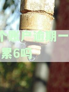 6个账户一个月逾期是否累计计算？了解相关政策和影响因素