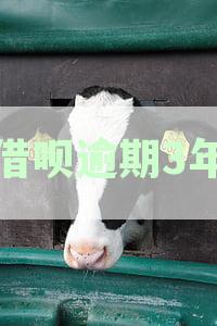 支付宝借呗逾期3年还款协商攻略：如何处理逾期问题，避免信用损失？