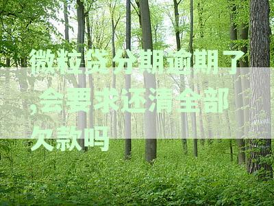 微粒贷逾期后分期还款详情及处理方式