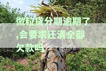 微粒贷逾期七天后关闭分期还款渠道？这是真的吗？我们该如何应对？