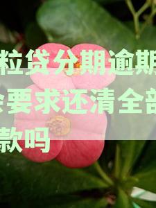 微粒贷分期逾期多久要一次性偿还全部：解答您的疑惑与逾期影响