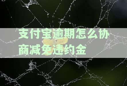 支付宝逾期打什么电话协商可以减免违约金吗？