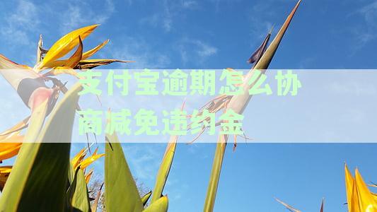 支付宝逾期协商攻略：如何有效应对逾期还款、降低罚息与恢复信用？