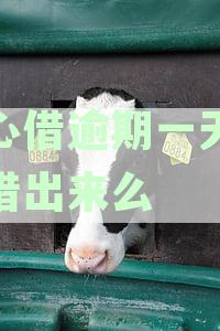 放心借逾期一天亲身经历-放心借可以逾期几天