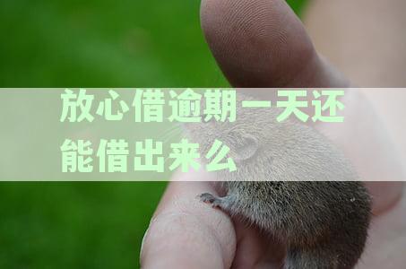 逾期一天借款是否会上征信？解答各种可能性及影响