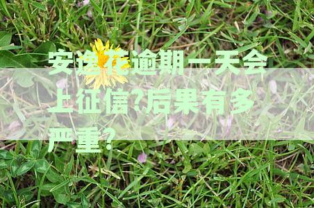 安逸花逾期一天：如何避免爆通讯录并处理联系人问题