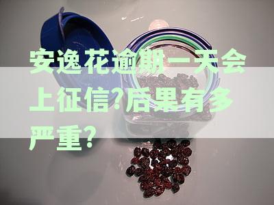 安逸花逾期一天还款会产生什么影响？逾期一天的罚息和信用记录如何处理？