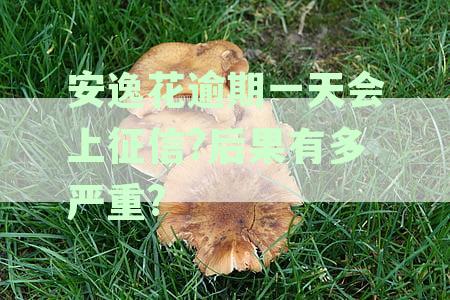 安逸花逾期一天的影响及有奖问答活动解答