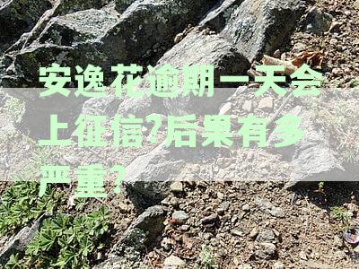 安逸花逾期一天会上征信?后果有多严重?