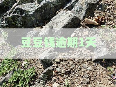 豆豆钱逾期催收：一天后开始的电话暴力催收现象全面解析与应对策略