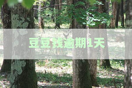 豆豆钱逾期一天后是否会联系家人以进行紧急处理？