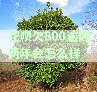 花呗欠800逾期两年会怎么样吗，支付宝花呗欠款800逾期三年现在得还多少钱？