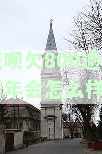 花呗800逾期八个月怎么办,但是欠的不多-花呗800逾期八个月怎么办,但是欠的不多怎么办