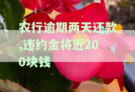 农行逾期两天还款，违约金将近200块钱怎么办？