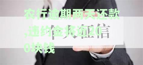 农业信用卡逾期两天还款，违约金200元：合理吗？