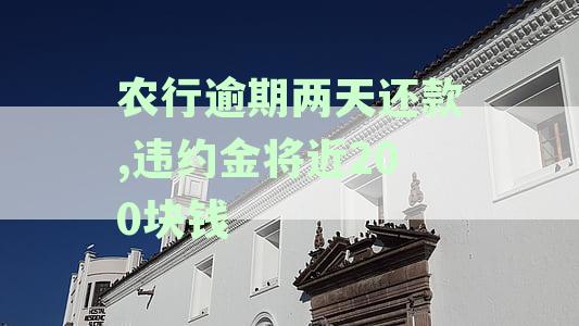 农业银行逾期还款违约金：详细计算方法、影响及解决对策全面解析
