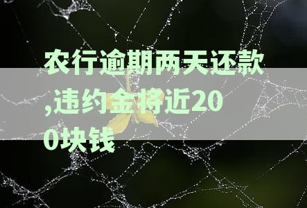 农行逾期两天还款,违约金将近200块钱