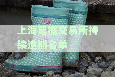 上海票据交易所持续逾期名单