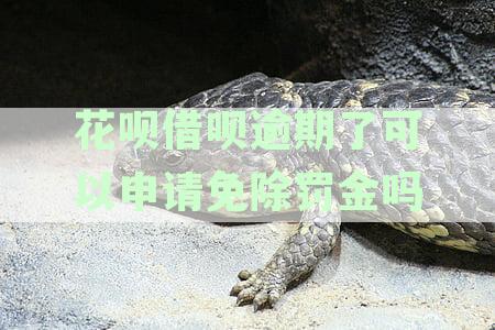 支付宝花呗借呗逾期后，是否可以申请协商减免罚息和罚金？