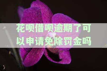 花呗借呗逾期还款困难，只还本金不还利息可以吗？