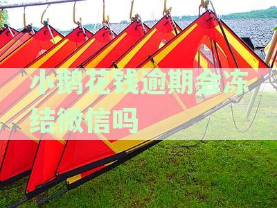 小鹅花钱逾期被冻结，微信零钱解冻步骤详解