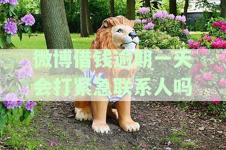 微博借钱逾期一天是否会联系紧急联系人？还款逾期后果及应对策略详解