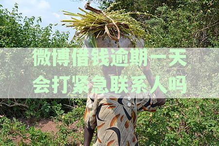 微博借钱逾期一天会怎样：上征信、影响借款信用评分及可能产生罚息