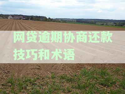 从逾期到协商还款：全面指南解决网贷逾期问题