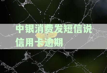 中银消费短信提醒信用卡逾期：原因、解决方法及如何避免类似问题