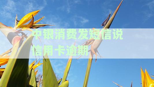 中银消费发短信：冻结银行卡、起诉、失信人员和存档中心真实性