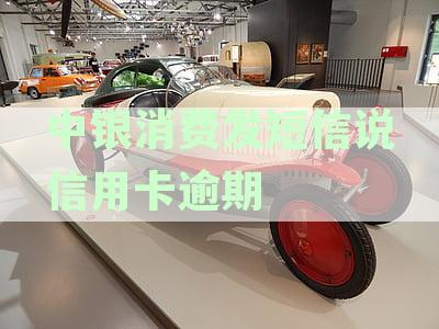 中银消费信息平台：全面解答用户关于银行卡、积分、优等方面的问题