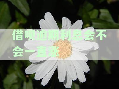 借呗逾期利息会不会一直涨
