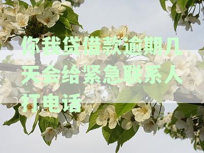 你我贷逾期多久会联系紧急联系人？通讯录中的电话将在何时被打？