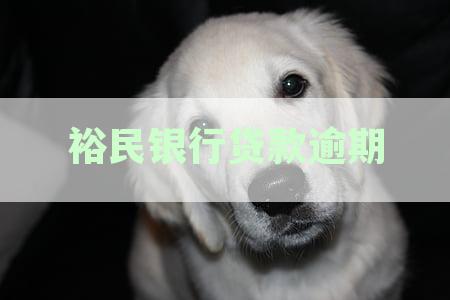 裕民银行贷款逾期了怎么办？如何还款？