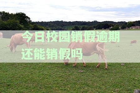 校园销假逾期后，是否会收到通知？如何避免逾期销假并接收通知？