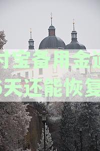 支付宝备用金逾期后还款，再次借款的可能性及具体操作步骤是什么？