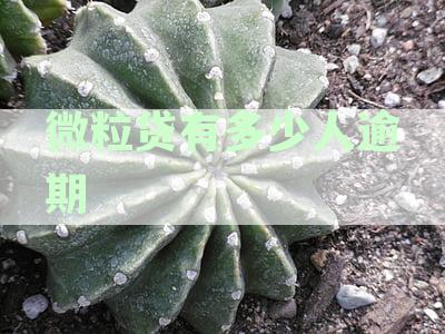 微粒贷逾期时间限制：多久会导致个人征信受损？如何避免不良信用记录？