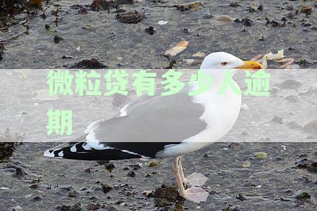 微粒贷欠款逾期多久会被法院起诉？