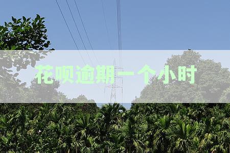 支付宝花呗逾期10天后的还款处理方式及可能影响