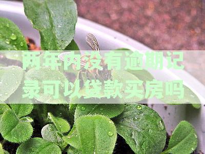 无逾期贷款购车两年内记录是否可行？如何申请此类贷款？