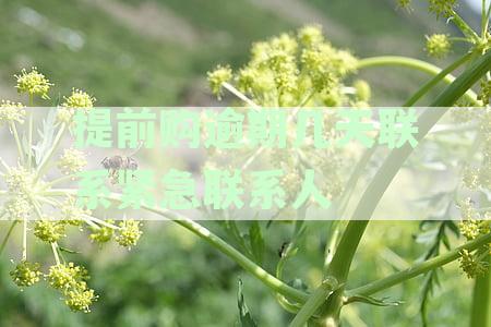 提前购逾期几天联系紧急联系人