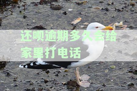 还呗逾期后多久会联系家人？如何避免催收电话和通知？
