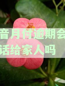 关于抖音逾期法务处理的全面解析：真实性、流程与可能影响