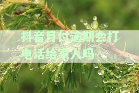 抖音月付逾期三个月了怎么办？如何解决？
