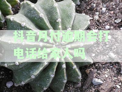 抖音月付逾期会打电话给家人吗