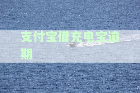 支付宝借充电宝逾期还款攻略：如何避免罚息、期费用以及逾期记录影响？