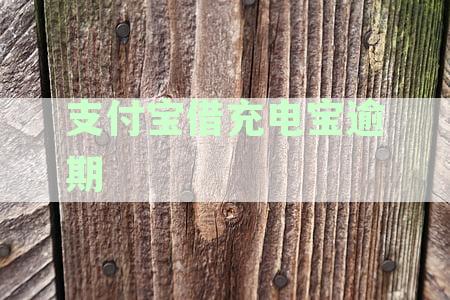 支付宝借充电宝逾期上征信，将产生何种影响及处理方法