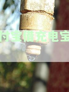 支付宝借充电宝逾期