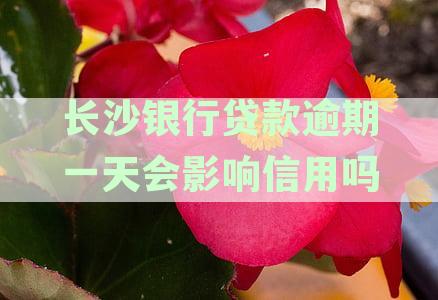 长沙银行贷款逾期一天是否会影响信用评估？解答还款后果与信用评分相关问题